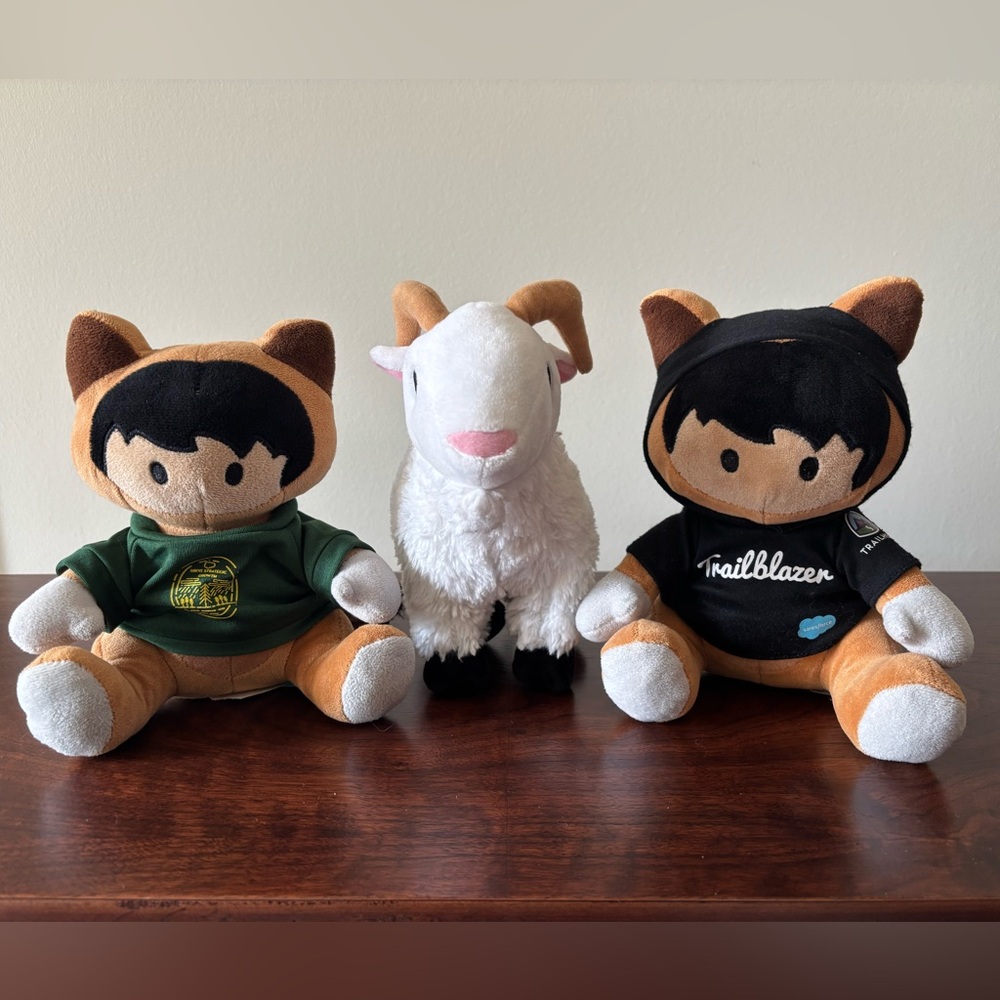 Salesforce Astro and Cloudy Lot